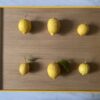 Trays