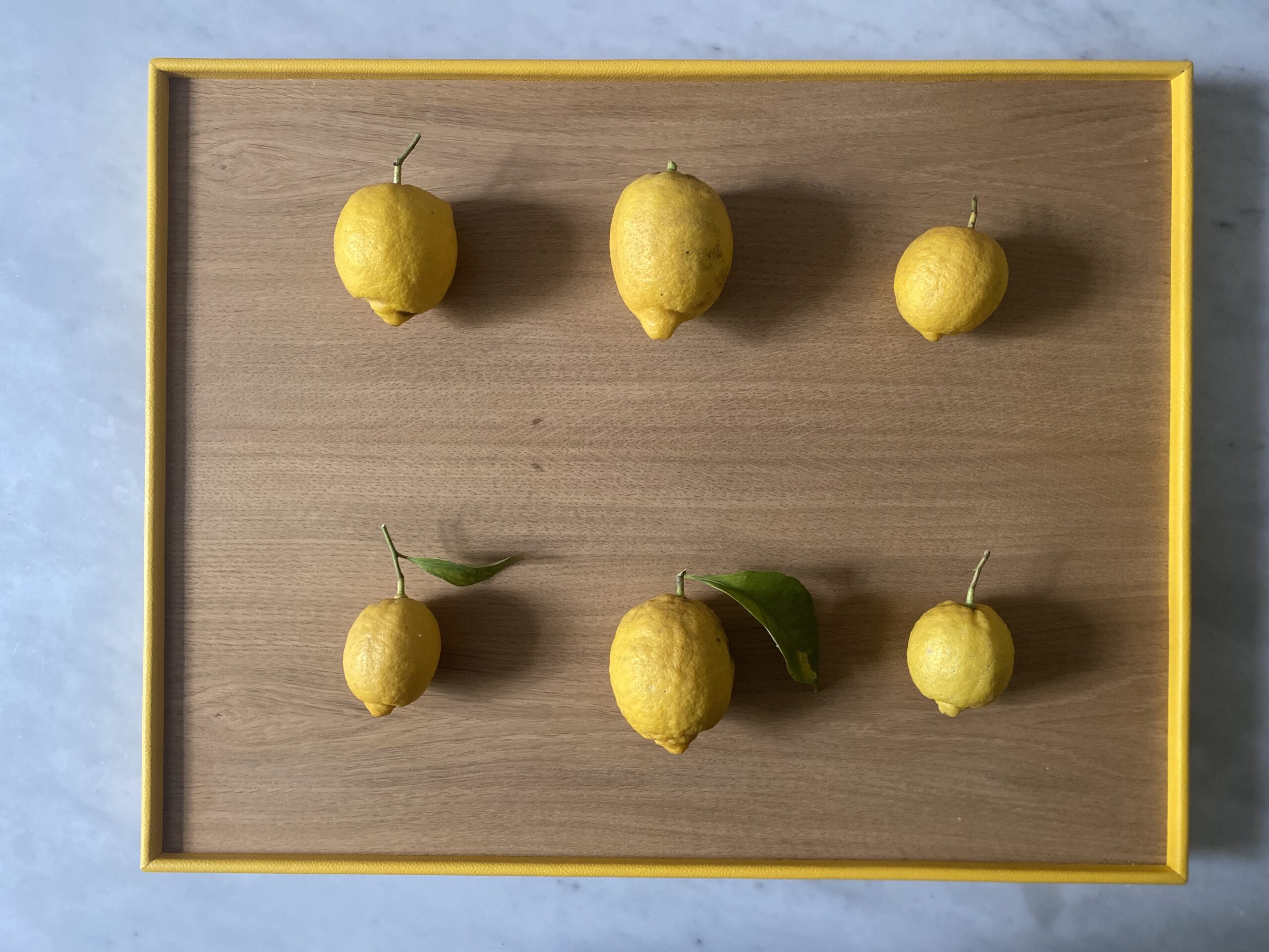 Trays